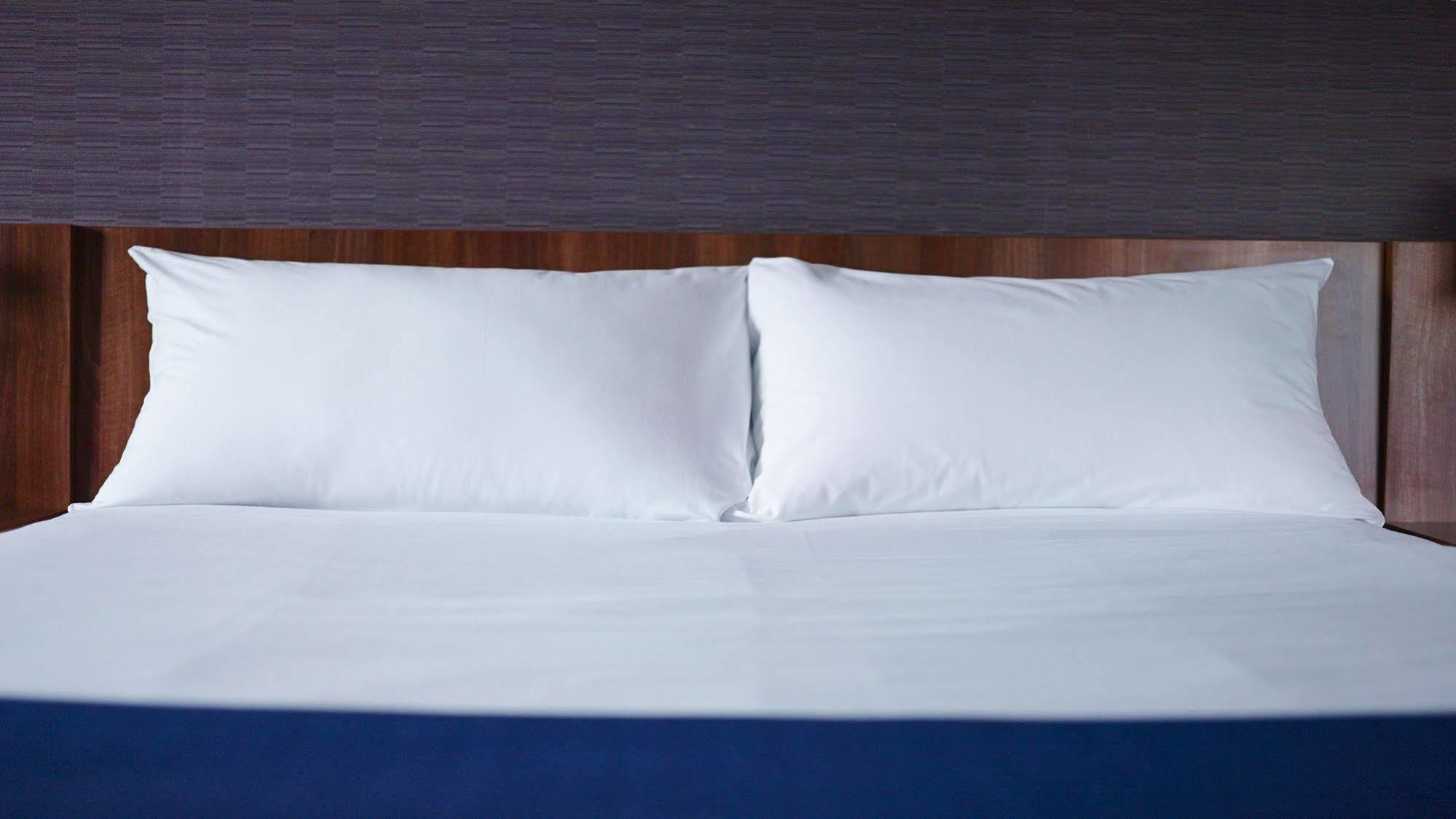 Holiday Inn Express Karlsruhe - City Park By Ihg Dış mekan fotoğraf